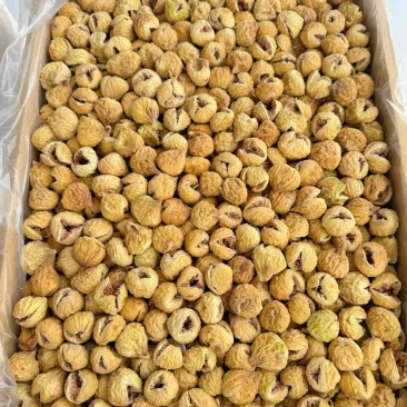 无花果干小开花