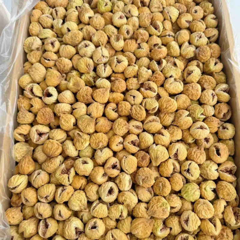 无花果干小开花