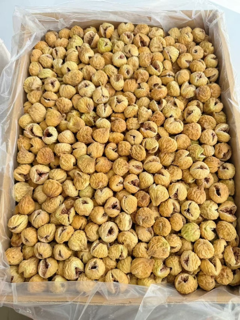 无花果干小开花