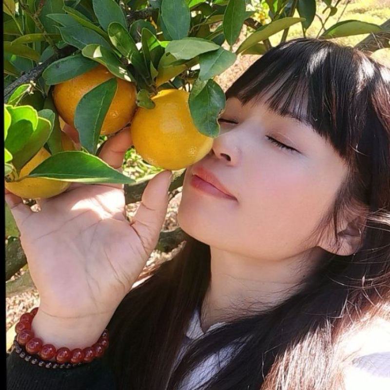 正宗德庆皇帝柑，皮薄核少，爽甜、化渣，自食、送礼佳品