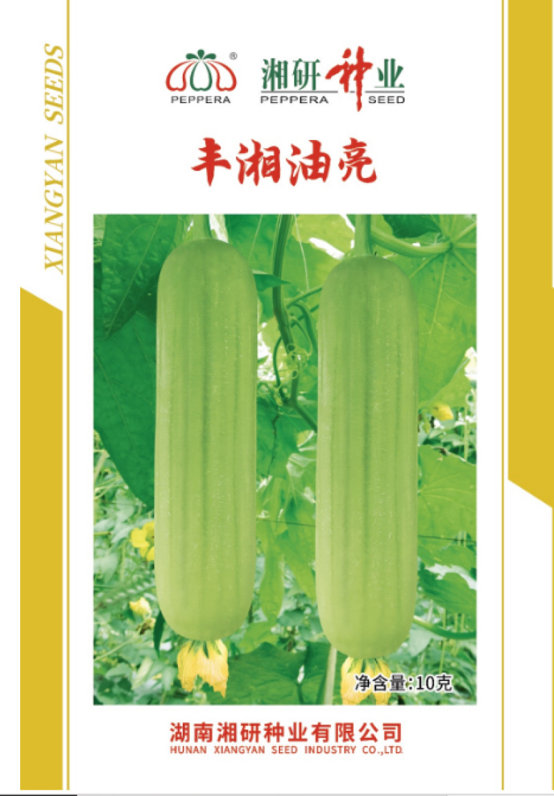 丰湘油亮抗病性强果肉紧实肉质清甜耐储运