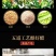 山西老存醋批发