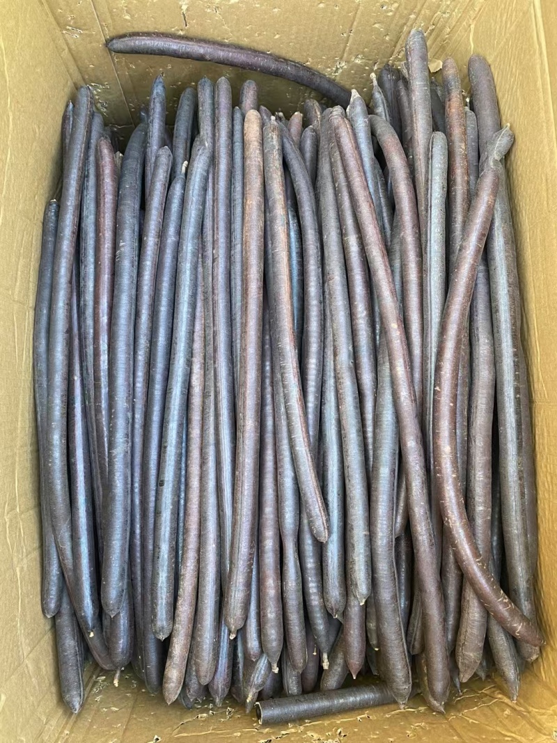 大解果便秘果500克中药材冷背奇批发腊肠果