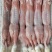 生鲜兔肉新鲜兔肉农家散养肉质饱满，绿色健康整只装