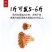 精品超大加拿大海参花足干带肉参皮参花