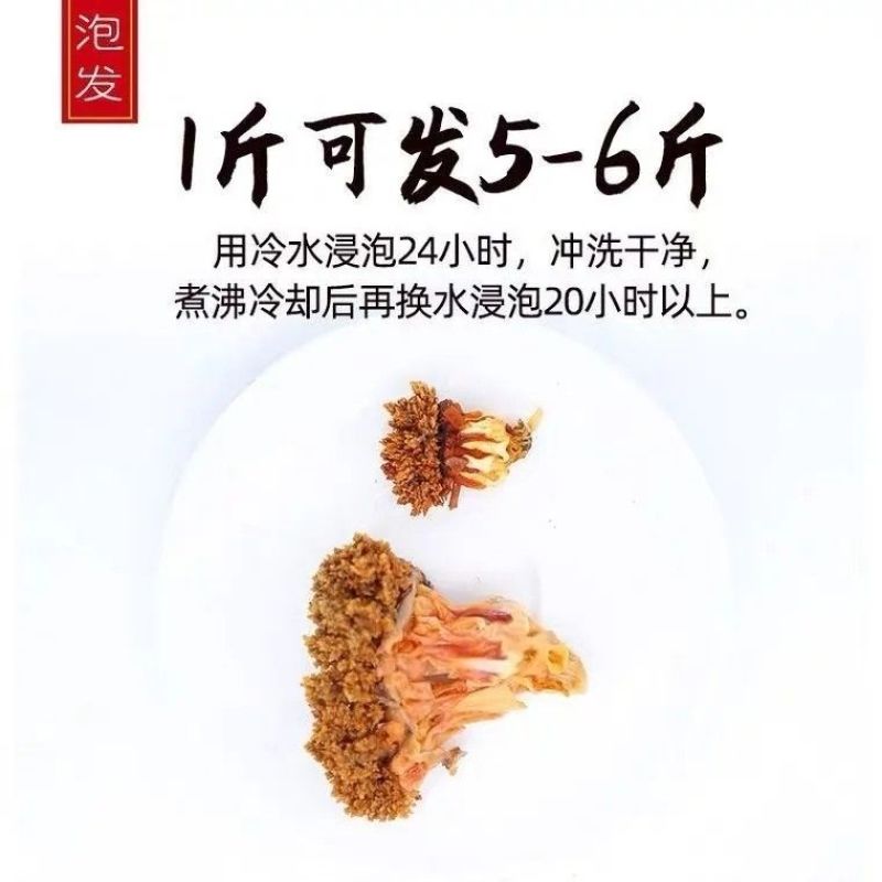 精品超大加拿大海参花足干带肉参皮参花