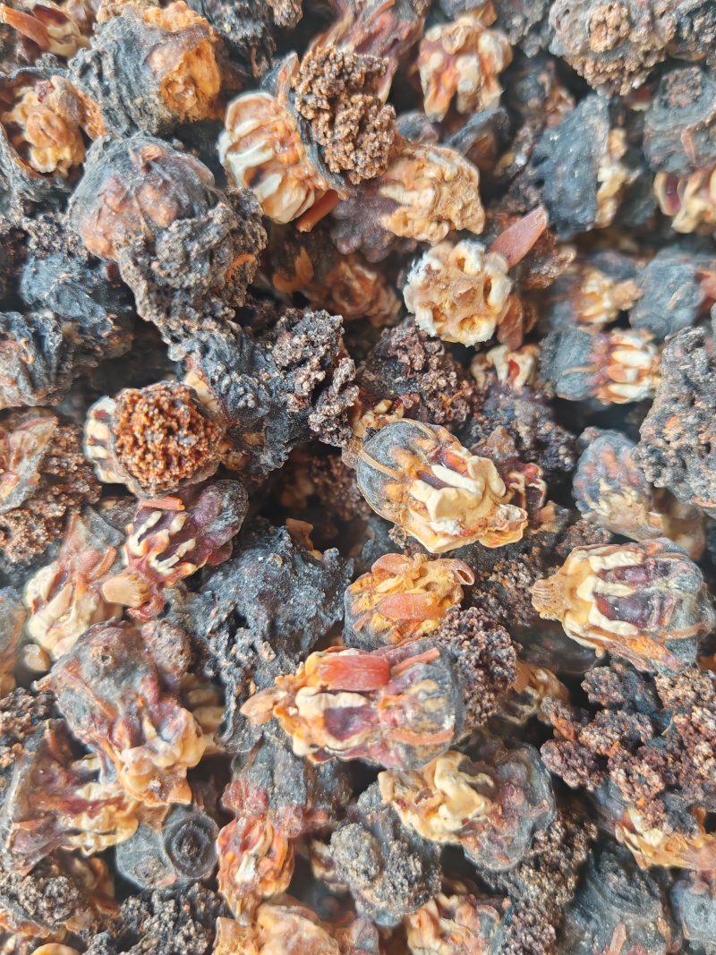 精品超大加拿大海参花足干带肉参皮参花