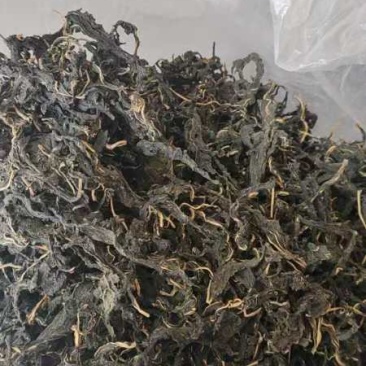 河南特产芝麻叶