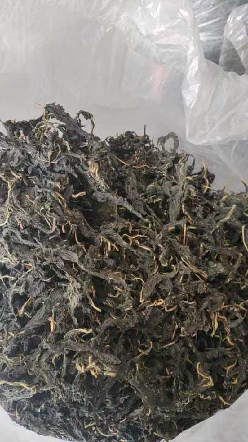 河南特产芝麻叶