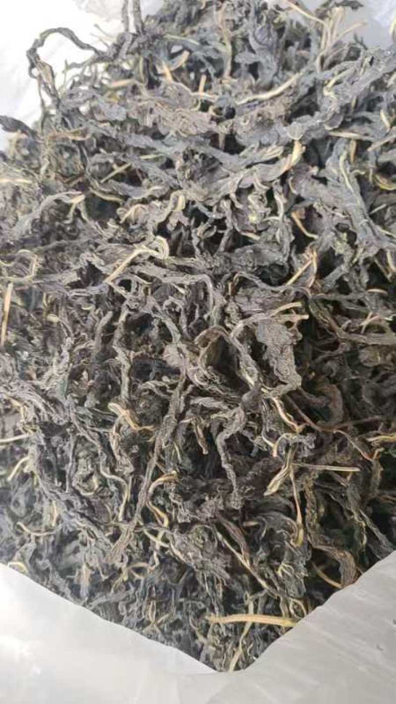 河南特产芝麻叶