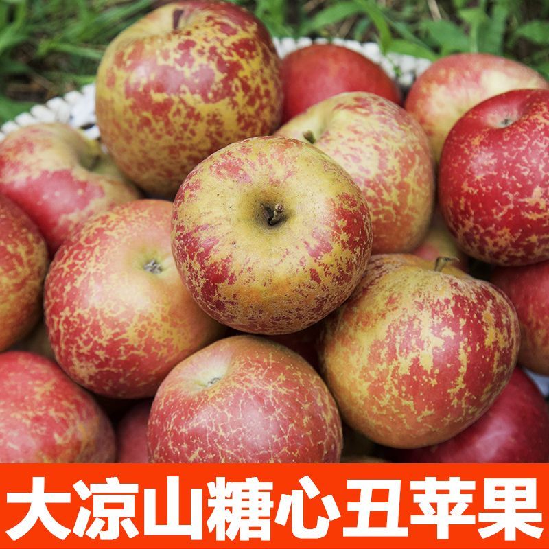 正宗大凉山冰糖心苹果当季水果新鲜红富士丑苹果脆甜5/10斤整