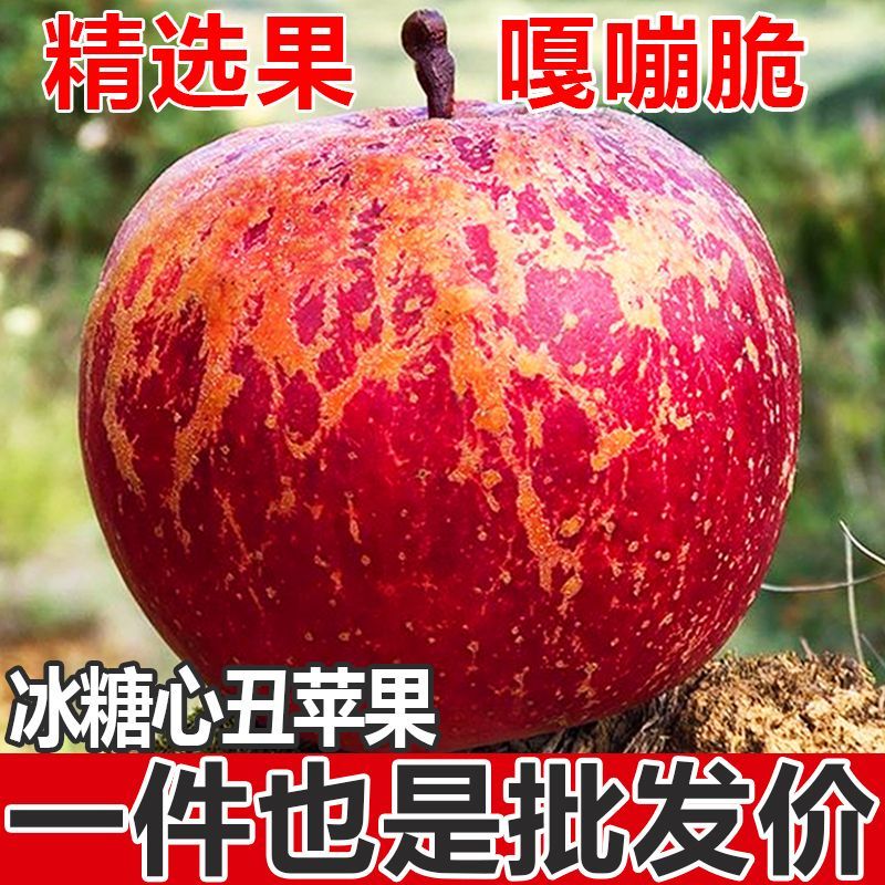 正宗大凉山冰糖心苹果当季水果新鲜红富士丑苹果脆甜5/10斤整