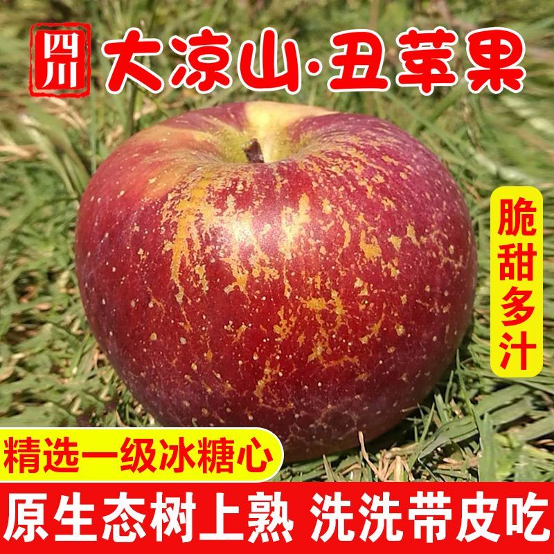 正宗大凉山冰糖心苹果当季水果新鲜红富士丑苹果脆甜5/10斤整