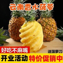 【惊爆价】新鲜云南菠萝香水大菠萝手撕菠萝水果凤梨菠萝批发