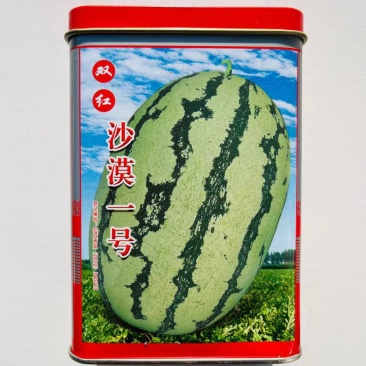 双红沙漠一号西瓜种子果实椭圆形大红瓤高糖抗病性强西瓜种子