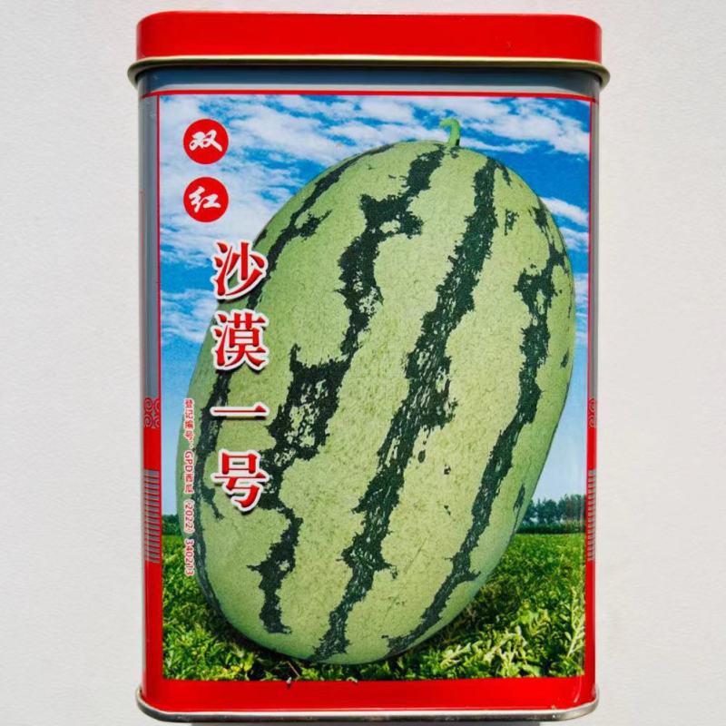 双红沙漠一号西瓜种子果实椭圆形大红瓤高糖抗病性强西瓜种子