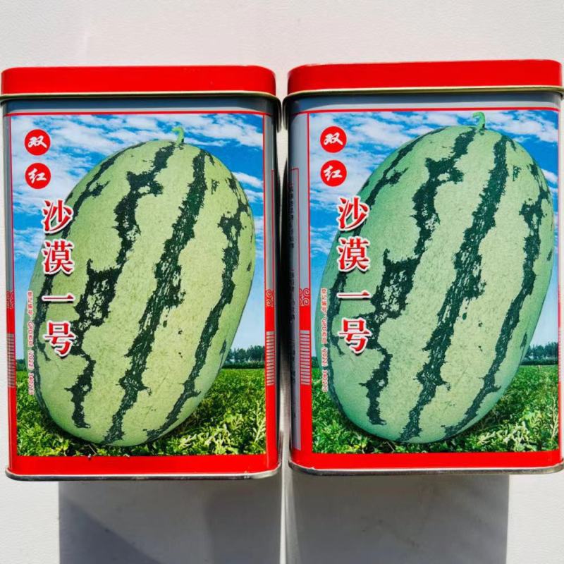 双红沙漠一号西瓜种子果实椭圆形大红瓤高糖抗病性强西瓜种子