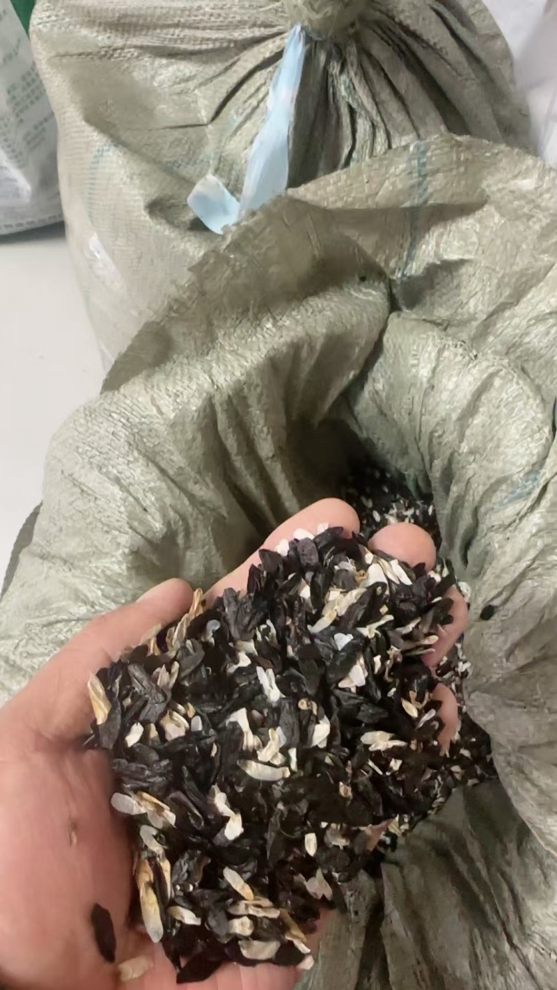 玉簪种子