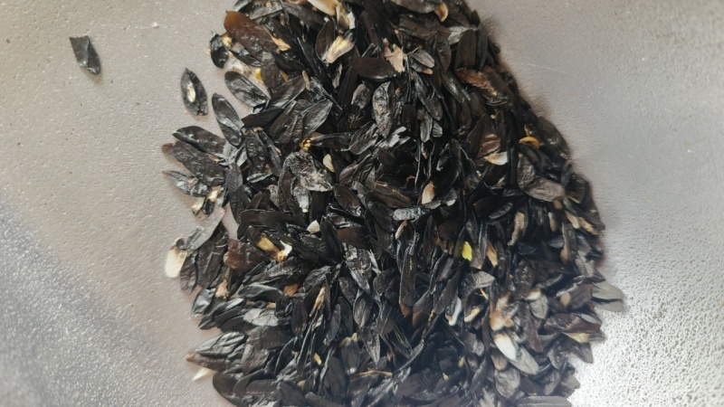 玉簪种子