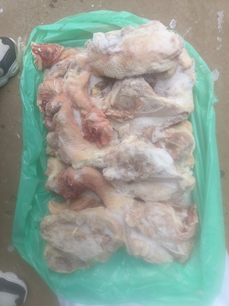 精品种母鸡鸡架，货源充足产地直发，欢迎采购