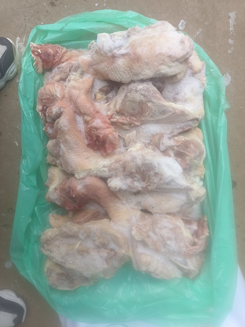 精品种母鸡鸡架，货源充足产地直发，欢迎采购