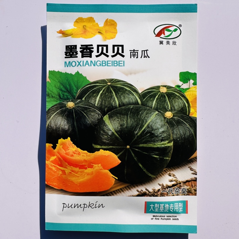 墨香贝贝南瓜种子高产甜面大贝贝南瓜种籽糯香味足一代杂交