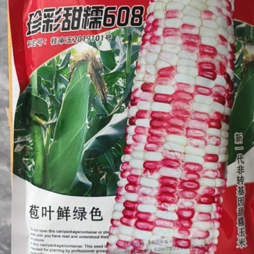 甜糯玉米种珍彩甜糯608产地直发花糯玉米量大优惠