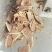 全熟牛肉片