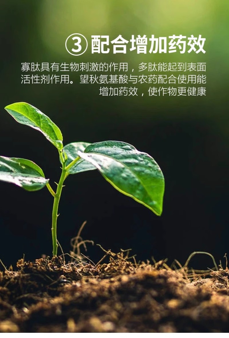 巴斯夫望秋进口氨基酸水溶肥料保花保果提高产量抗逆抗寒