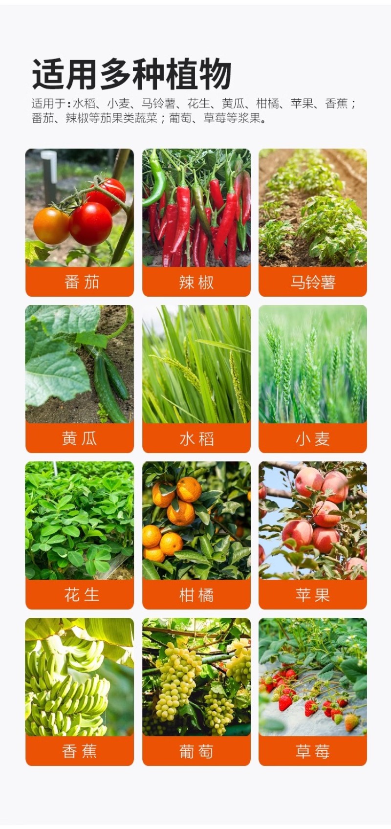 巴斯夫望秋进口氨基酸水溶肥料保花保果提高产量抗逆抗寒