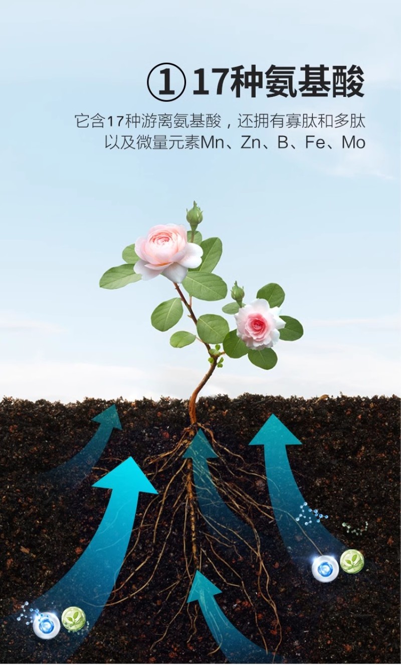 巴斯夫望秋进口氨基酸水溶肥料保花保果提高产量抗逆抗寒