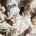 【牛头肉】牛猴头熟食