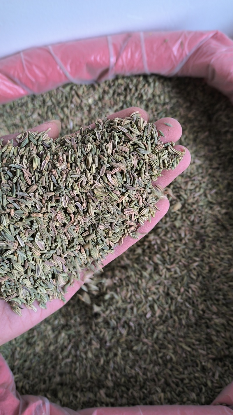 香料小茴香特绿级别国产进口饭店电商货都有