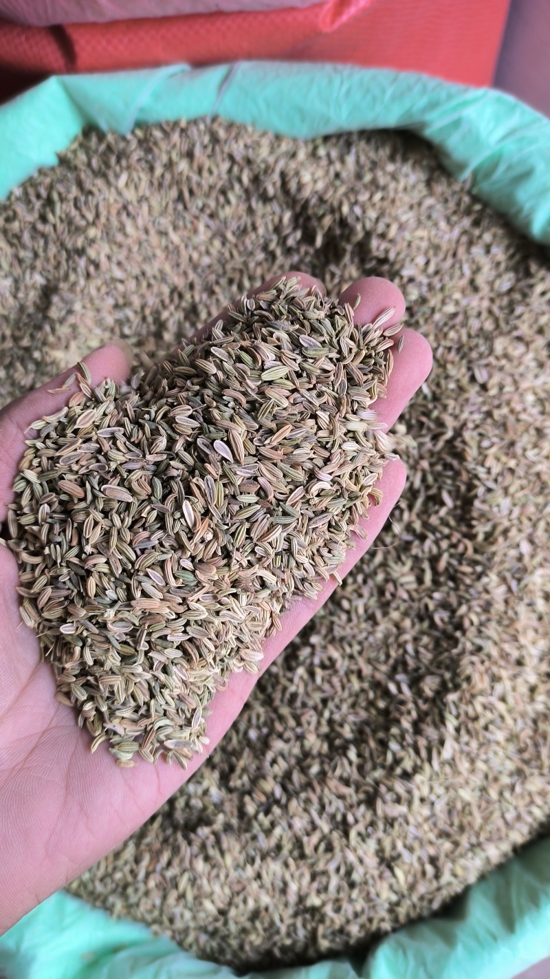香料小茴香特绿级别国产进口饭店电商货都有