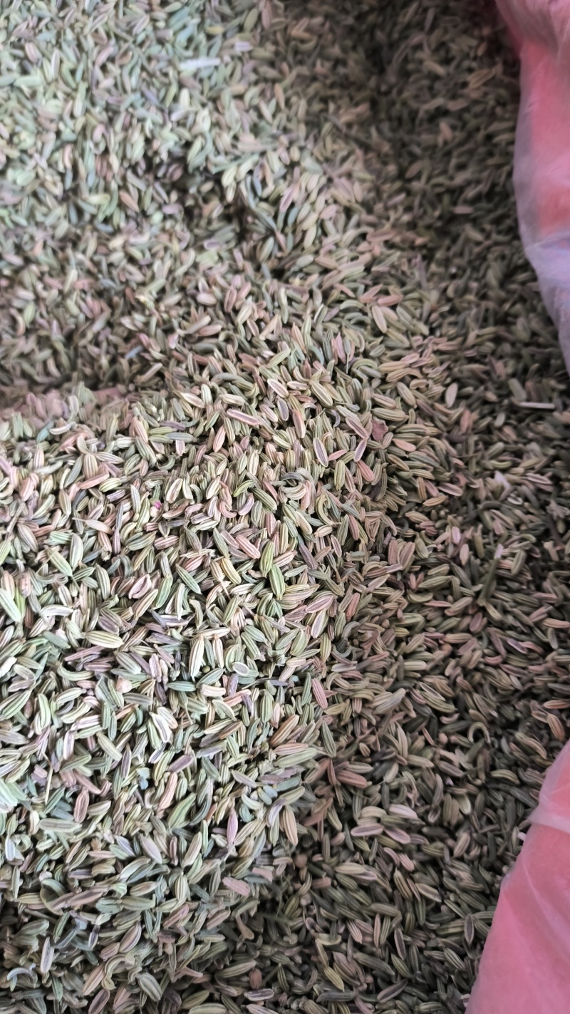 香料小茴香特绿级别国产进口饭店电商货都有