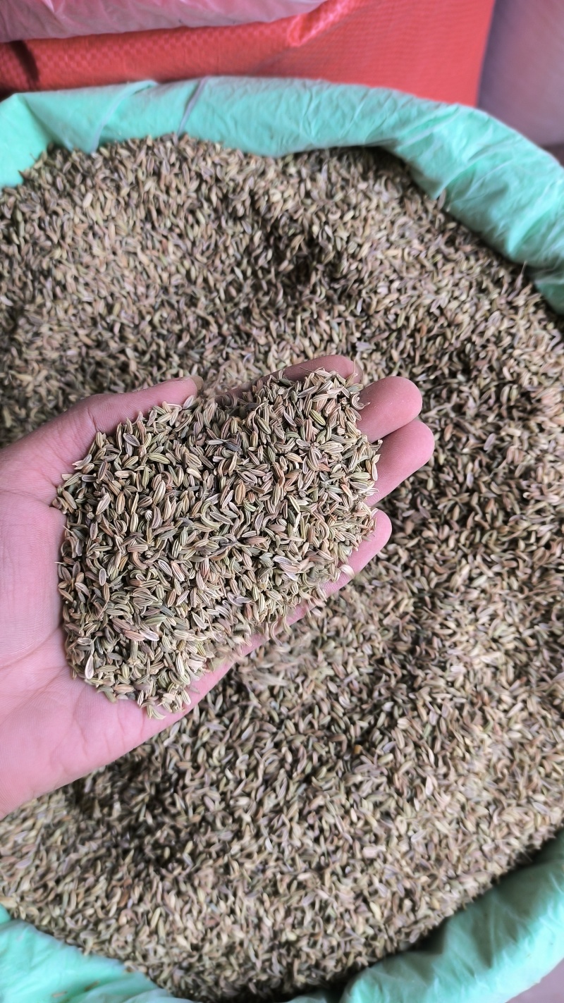 香料小茴香特绿级别国产进口饭店电商货都有