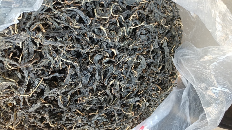 芝麻叶农家自晒芝麻嫩叶