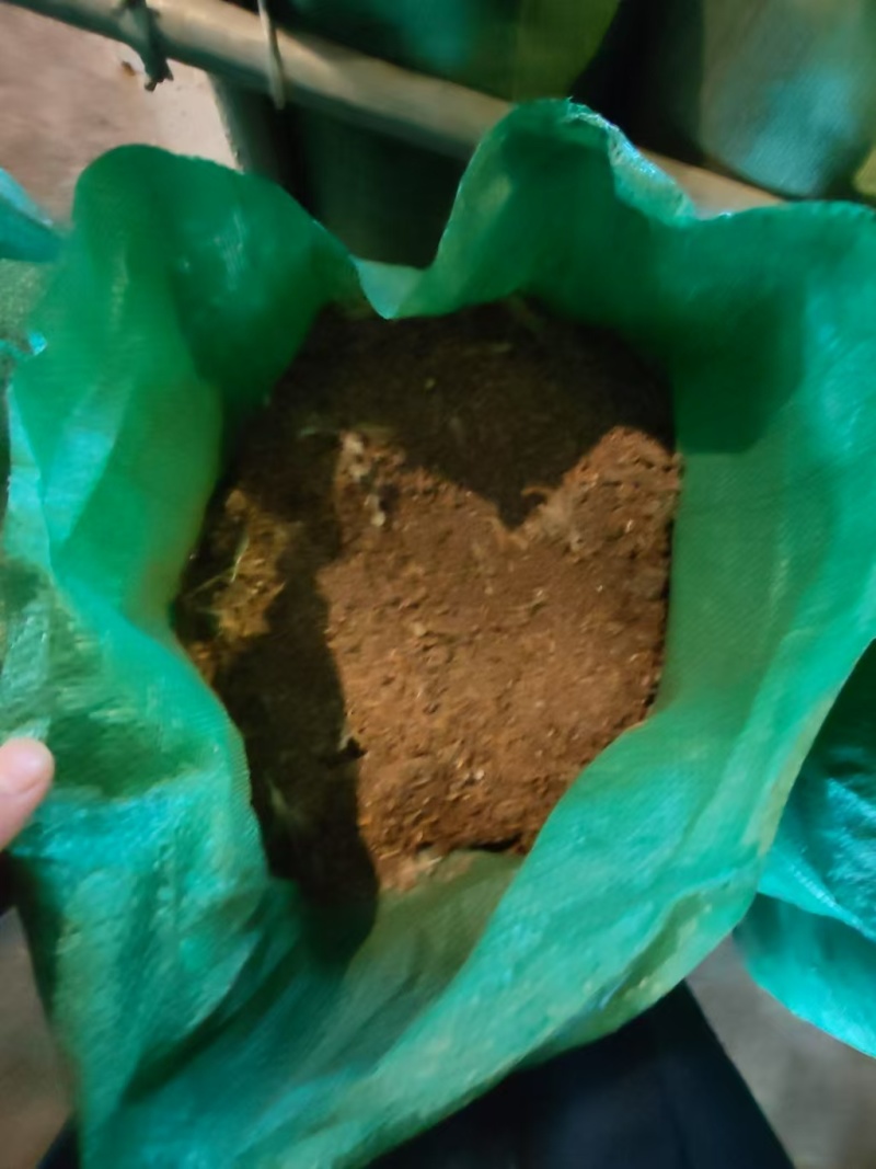 干鸡粪/广西鸡粪/有机肥/全年有货/欢迎来电采购