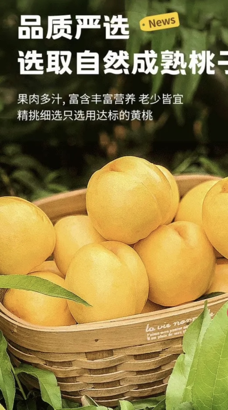 【诚信经营】黄桃罐头，金黄果肉，口感Q弹，无防腐剂。