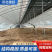 大棚厂家上门测量土地现场规划蔬菜种植养殖大棚