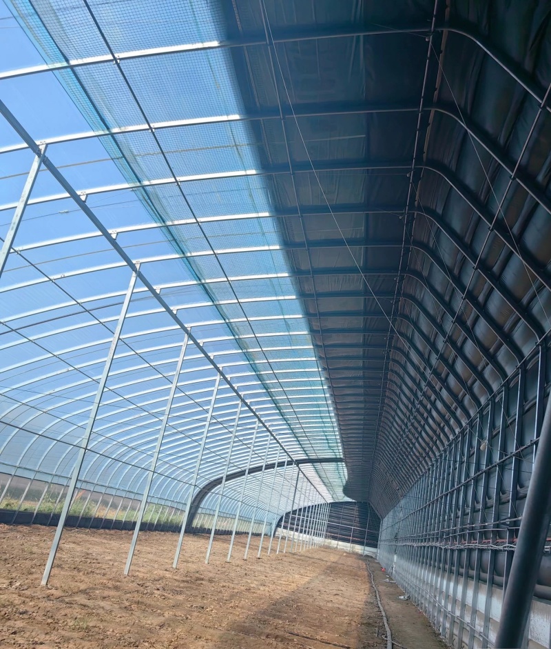 大棚厂家上门测量土地现场规划蔬菜种植养殖大棚