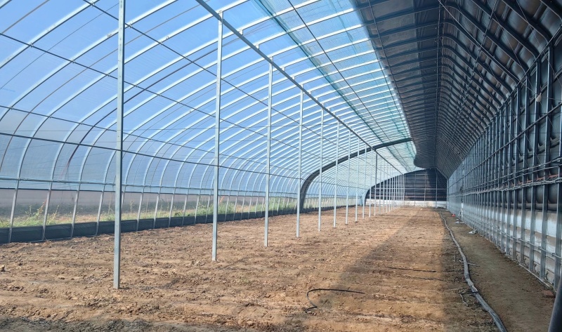 大棚厂家上门测量土地现场规划蔬菜种植养殖大棚