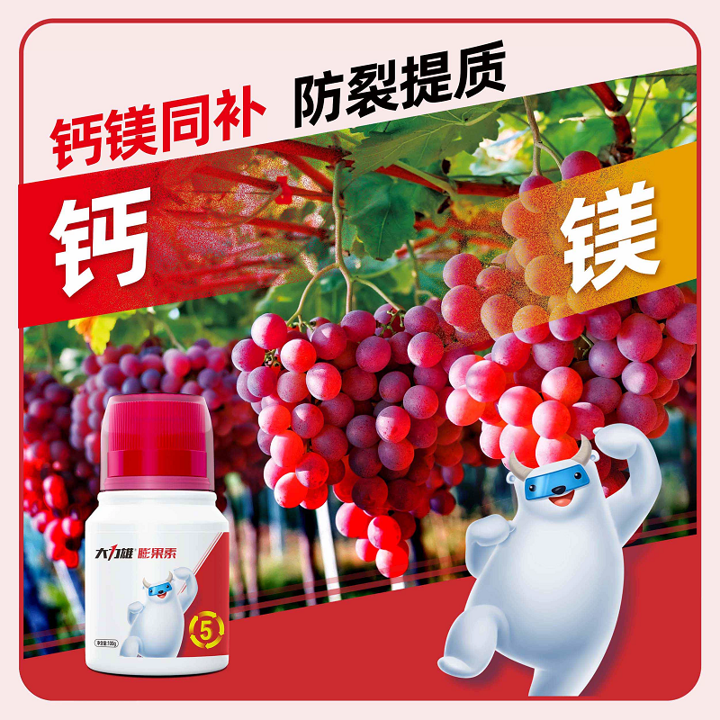 膨果素无激素膨大防裂果树草莓提糖增甜着色增产水溶肥大力雄