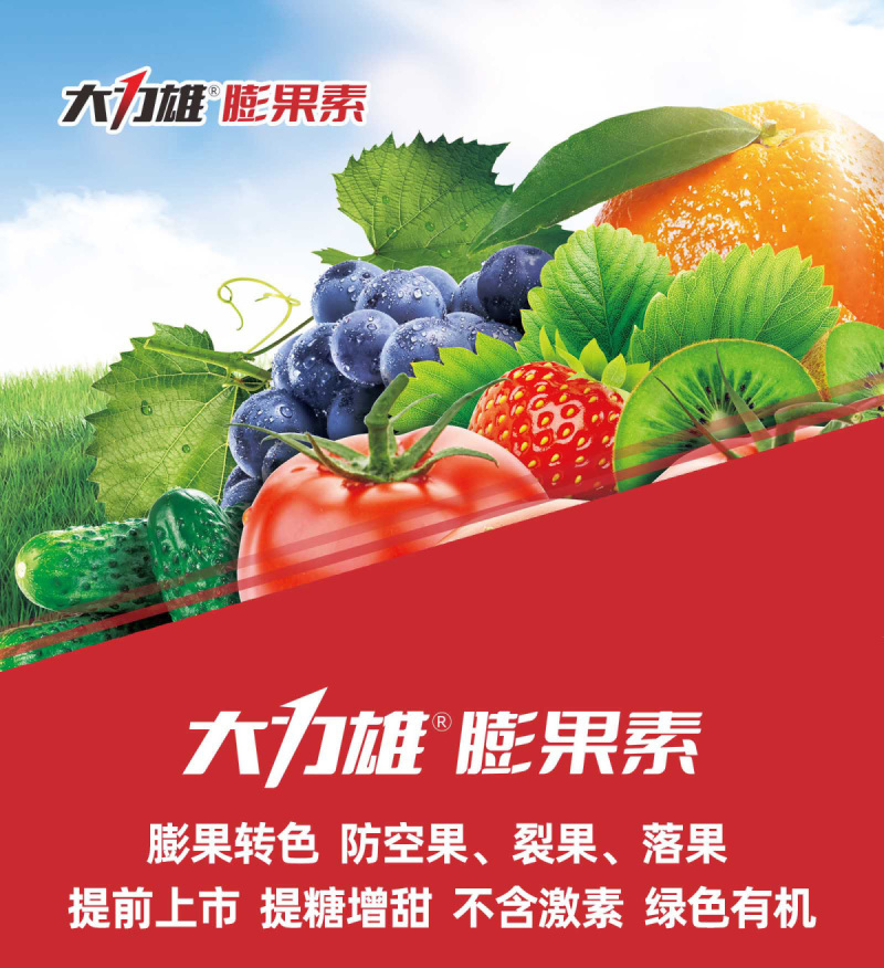 膨果素无激素膨大防裂果树草莓提糖增甜着色增产水溶肥大力雄