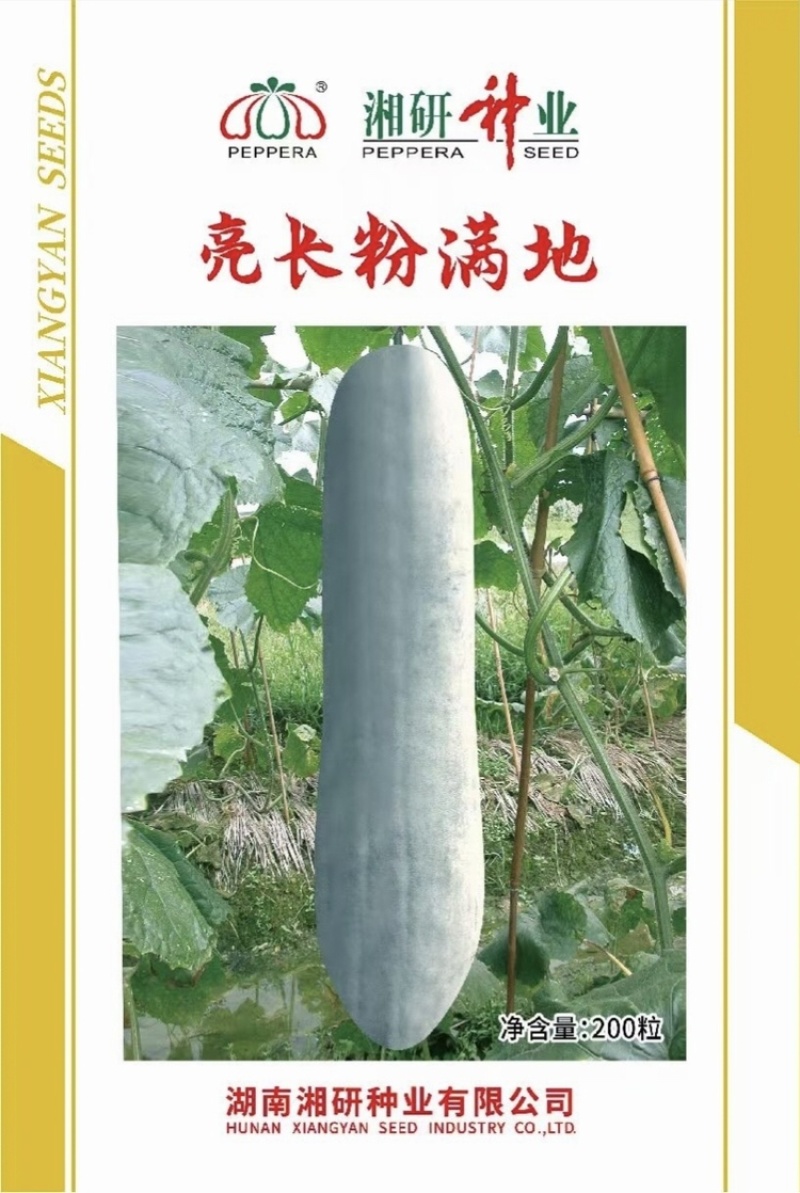 亮长粉满地粉皮冬瓜种子全国发货量大从优