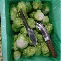 精品榨菜