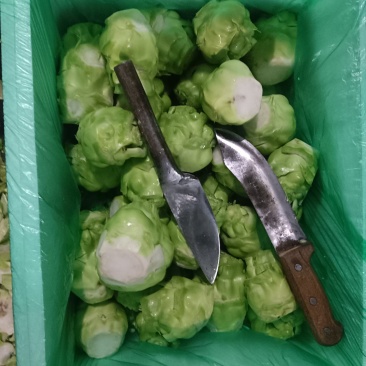 精品榨菜