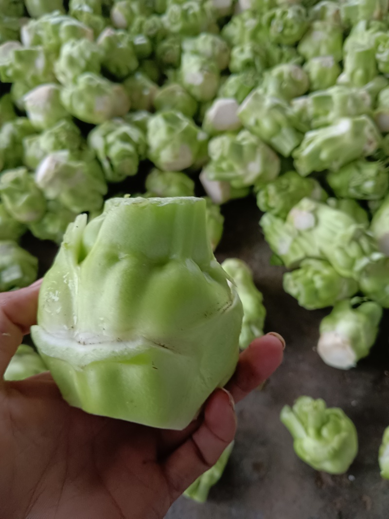精品榨菜