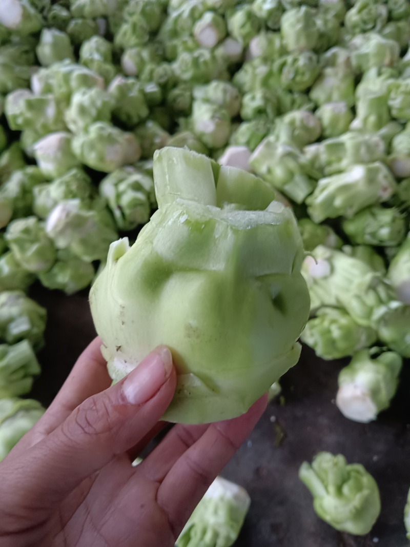精品榨菜