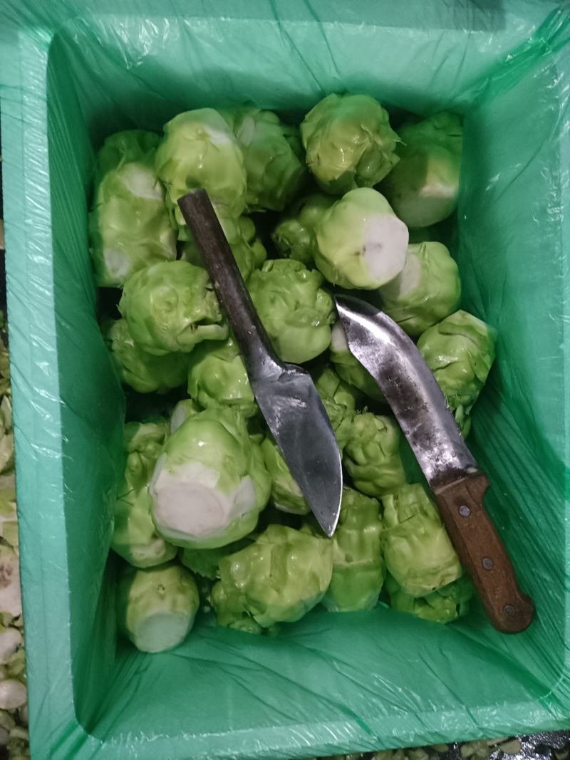 精品榨菜